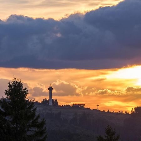 Fewo Poenblick Willingen  Eksteriør bilde