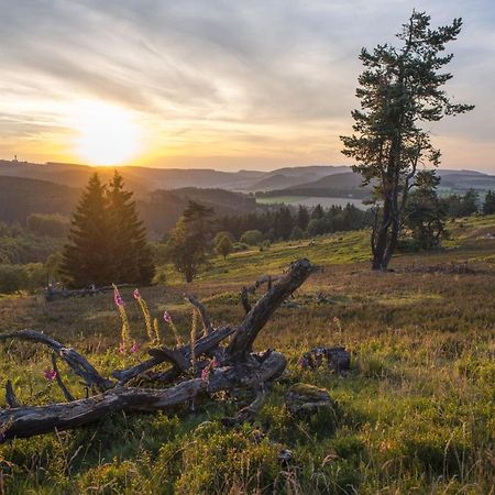 Fewo Poenblick Willingen  Eksteriør bilde