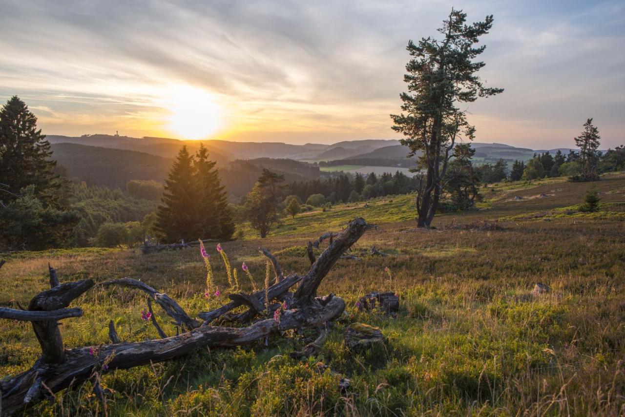 Fewo Poenblick Willingen  Eksteriør bilde