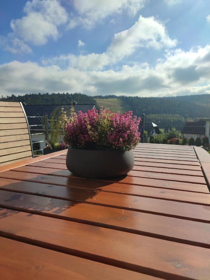 Fewo Poenblick Willingen  Eksteriør bilde